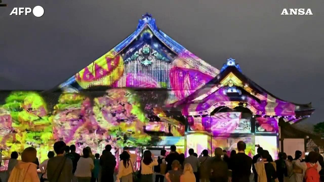 Kyoto, magia al castello di Nijo-jo: i ciliegi in fiore brillano tra le installazioni