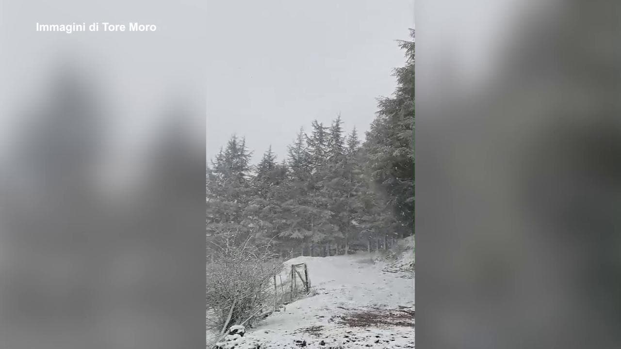 Sardegna, l'inverno a primavera sul Gennargentu: -2 gradi e neve