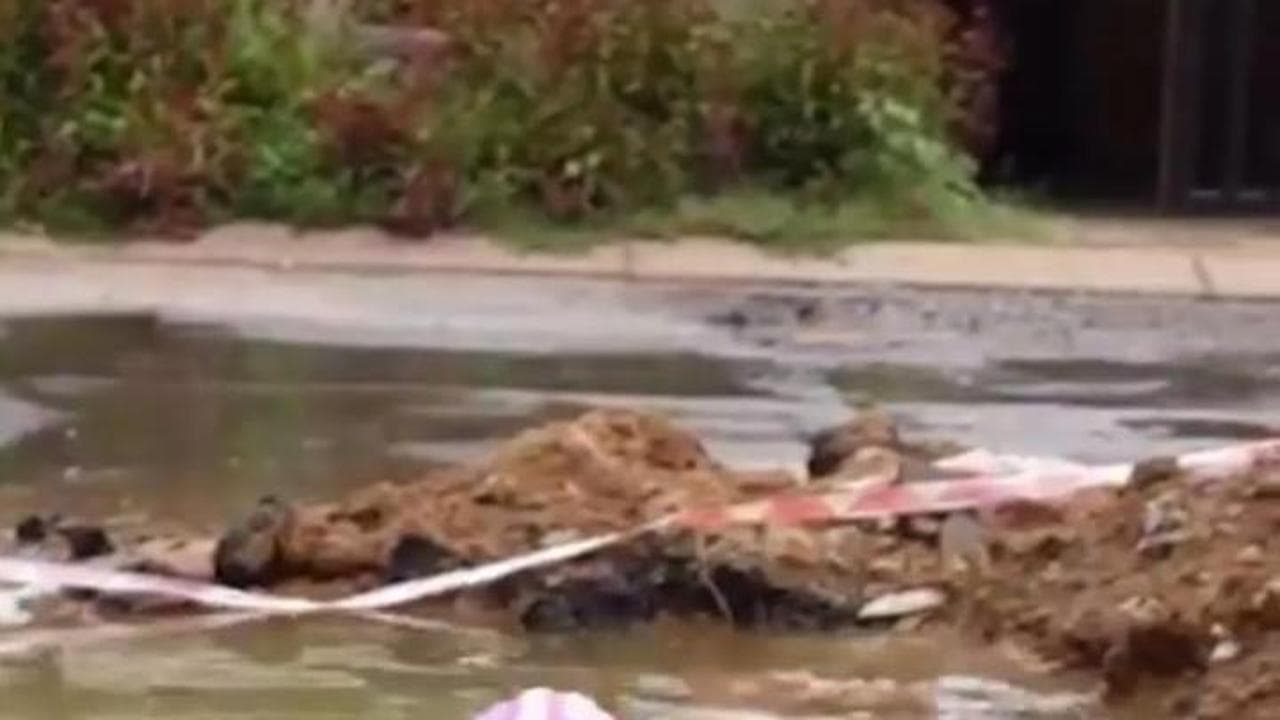 Johannesburg, la candidata a sindaco nuota in una buca stradale piena d'acqua