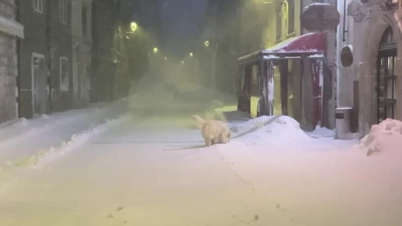 Maltempo in Molise, a Capracotta strade sommerse da oltre un metro di neve