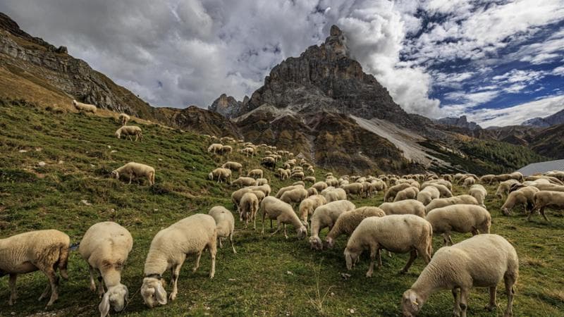 Pale di San Martino, Dolomiti @ Martina Melzer