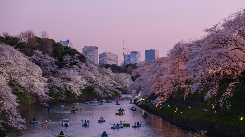 Tokyo, quinta, unica non europea (e unica megalopoli) nella top 10