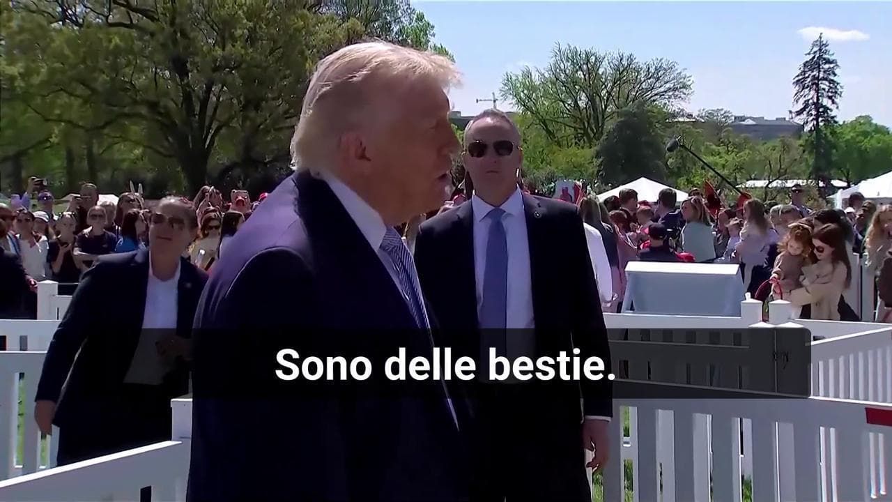 Reporter: "Colpire infrastrutture in Iran non è crimine di guerra?". Trump: "No, loro sono animali"