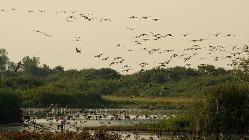 Laguna di Grado, Friuli-Venezia Giulia