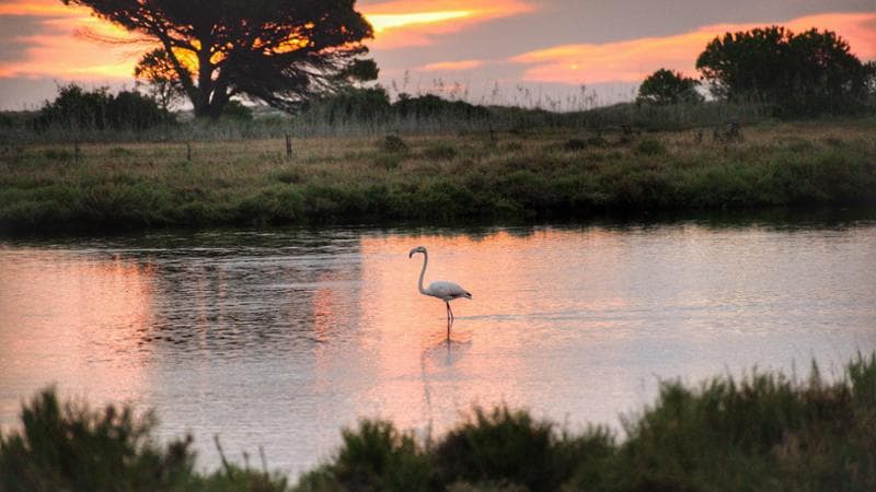 Laguna di Posada, Sardegna