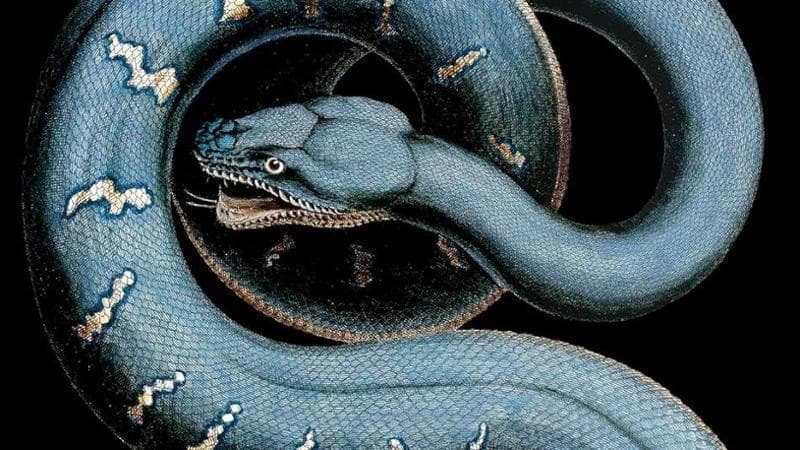 Particolare dalla copertina del libro "Genesi" di Elena Testi (Sem)