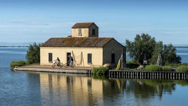 A passo lento nel cuore dell'ecosistema umido più importante d’Italia. In bici lungo il Delta del Po