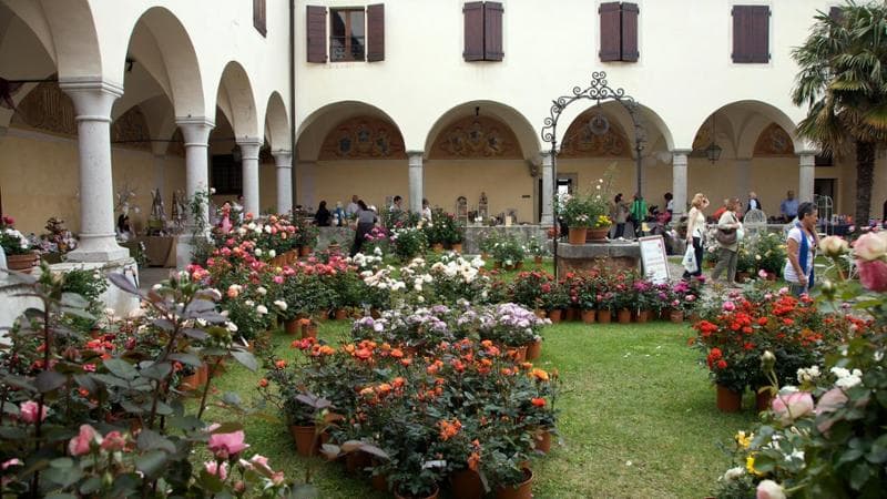 Rosazzo, Mostra delle Rose (Luigi Vitale)