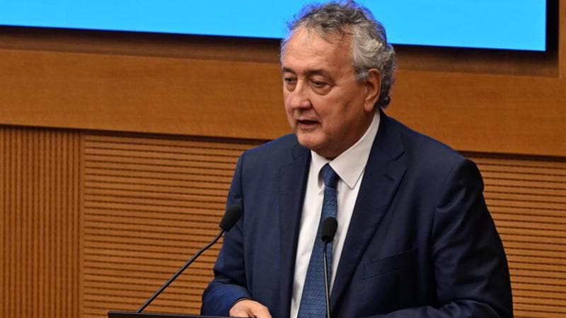 Anteprima: Barelli, al governo un posto senza portafoglio per salvare la guida della Federnuoto