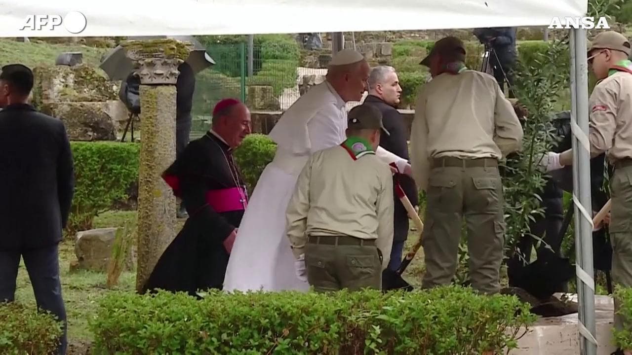Algeria, papa Leone pianta ulivo della pace a Ippona, terra del suo padre spirituale Sant'Agostino