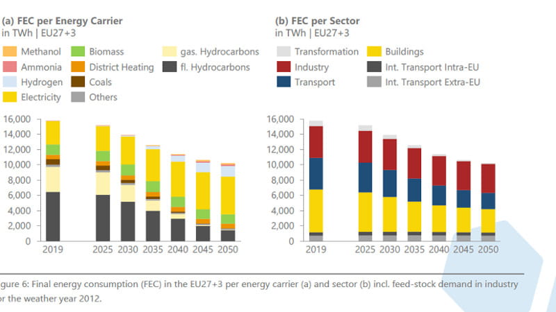 Consumo finale di energia