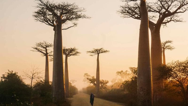 Un viaggio in Madagascar con Evaneos