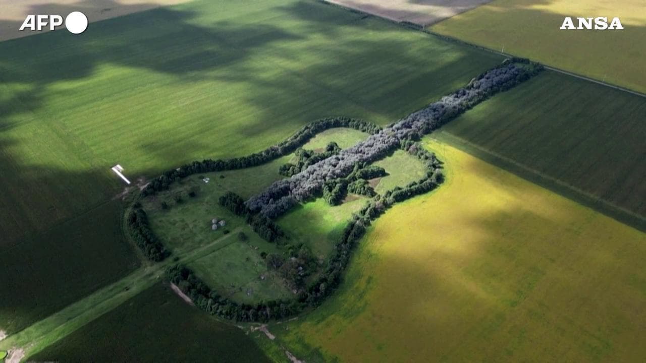 Argentina, ecco la "Guitarra de árboles": la gigantesca chitarra formata da migliaia di alberi