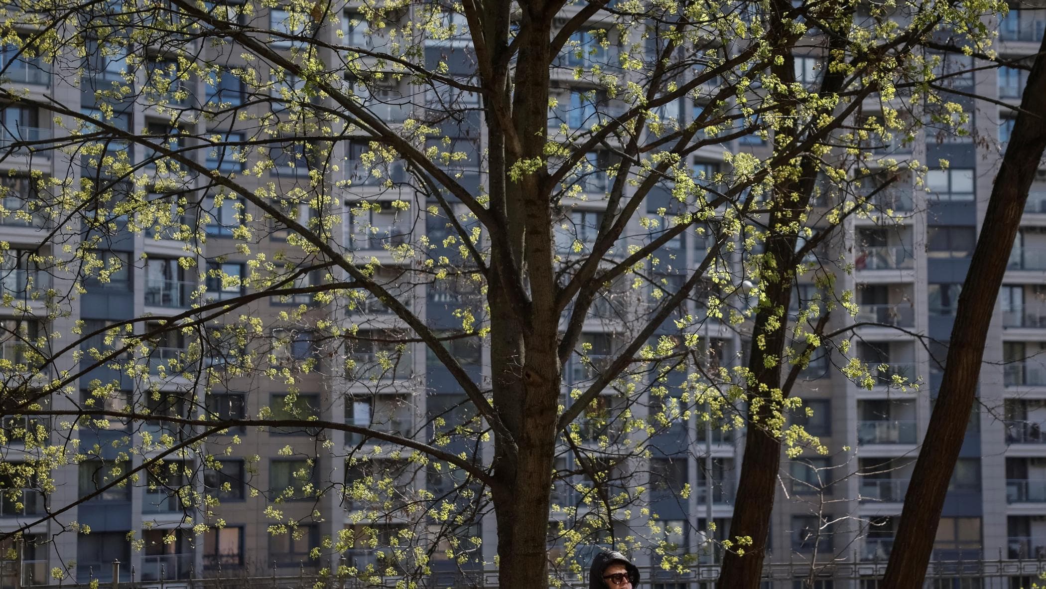 Guerra Ucrania - Rusia. Orbán: «Kiev preparada para restablecer suministros de petróleo desde el lunes»