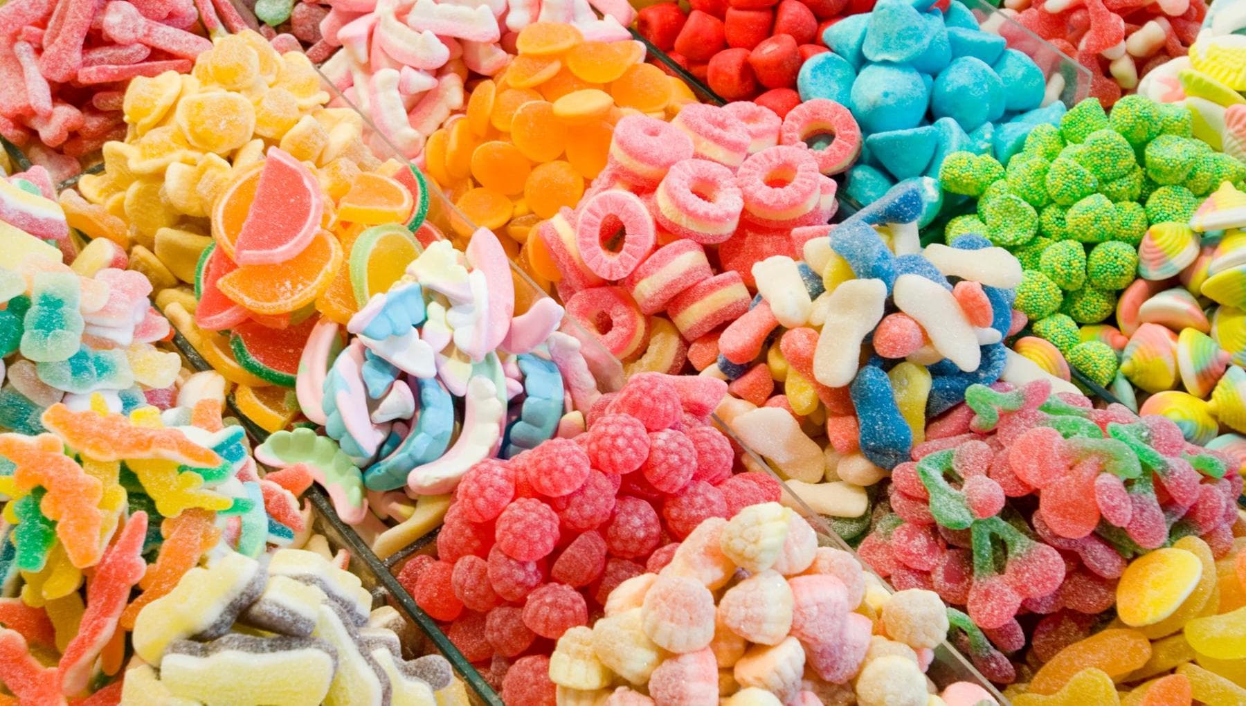 Piano B, Rossella: “Ho lasciato un lavoro sicuro per inseguire un sogno, ma non torno indietro”