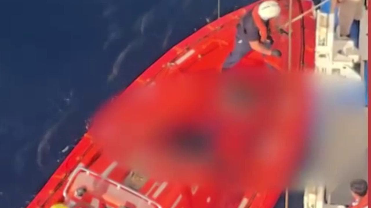 Cinque corpi in mare, nave da crociera devia la rotta e li recupera nel Mediterraneo