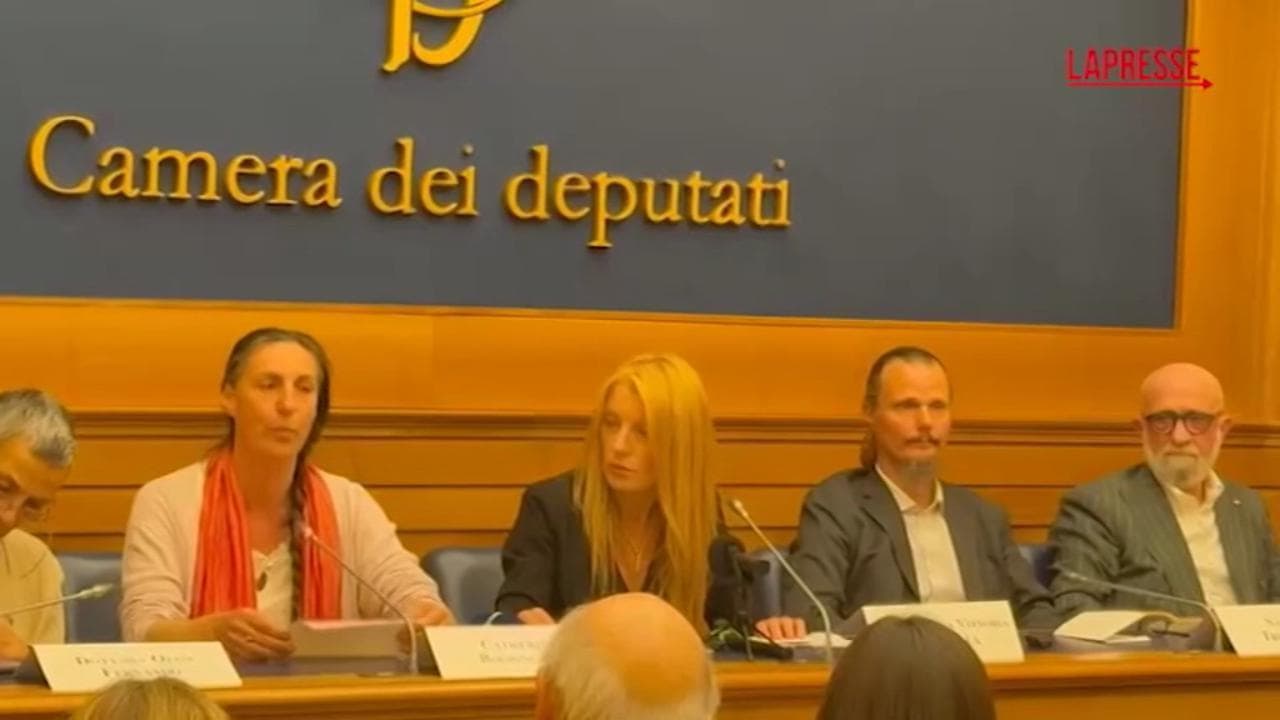 Famiglia nel bosco, Catherine Birmingham: "Mai vista tanta crudeltà verso dei bambini"
