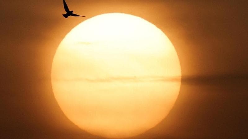 The sun rises (Mohamed Abd El Ghany)
