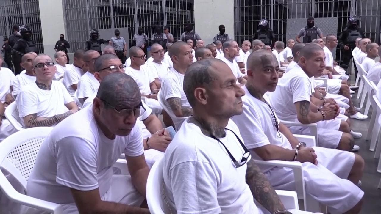 El Salvador, 486 capi della gang MS-13 a processo: teste rasate e tatuaggi, tute bianche e catene