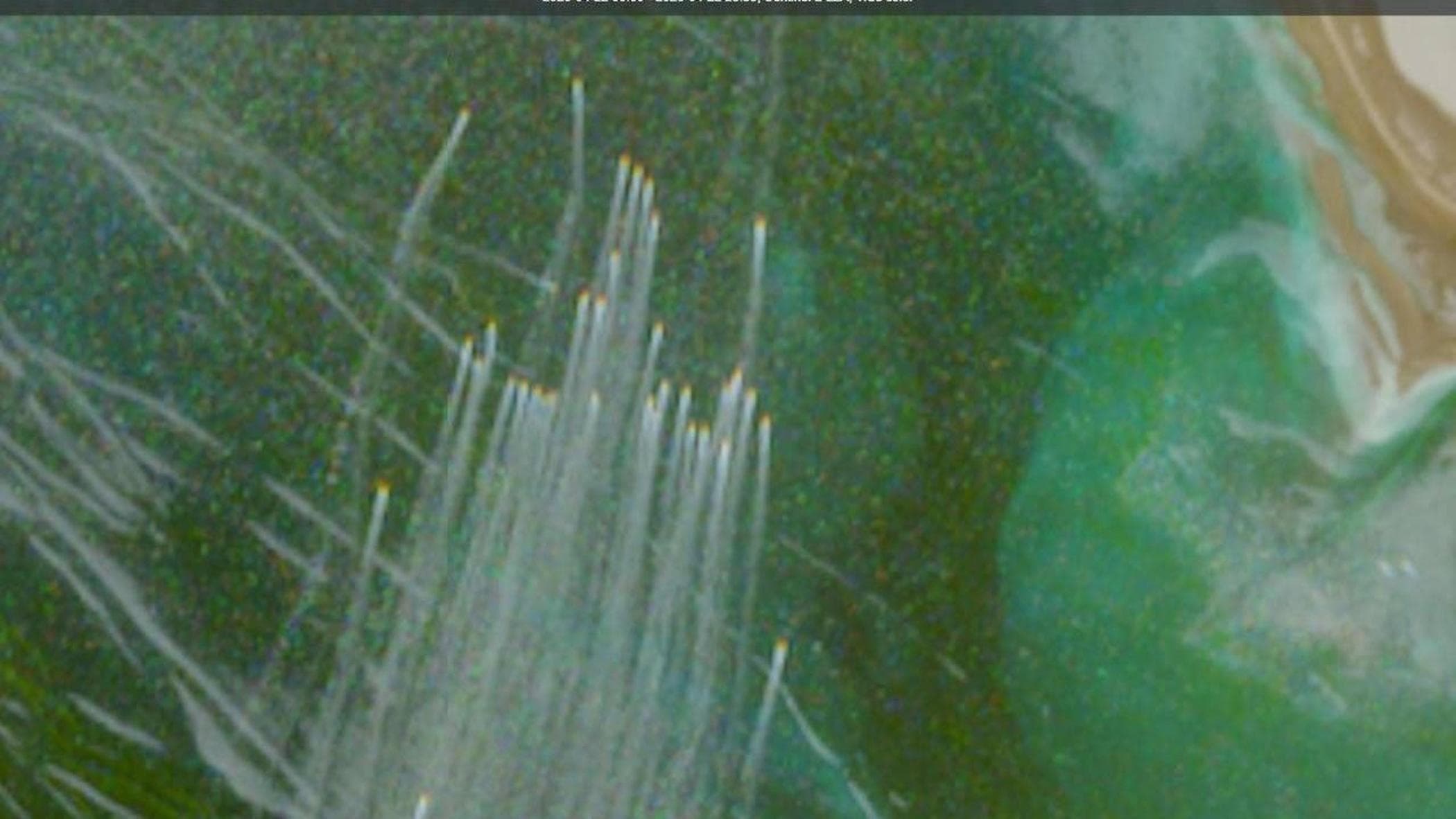 La “flotta delle zanzare di Teheran”: l’arma segreta ispirata ai persiani che minaccia Hormuz