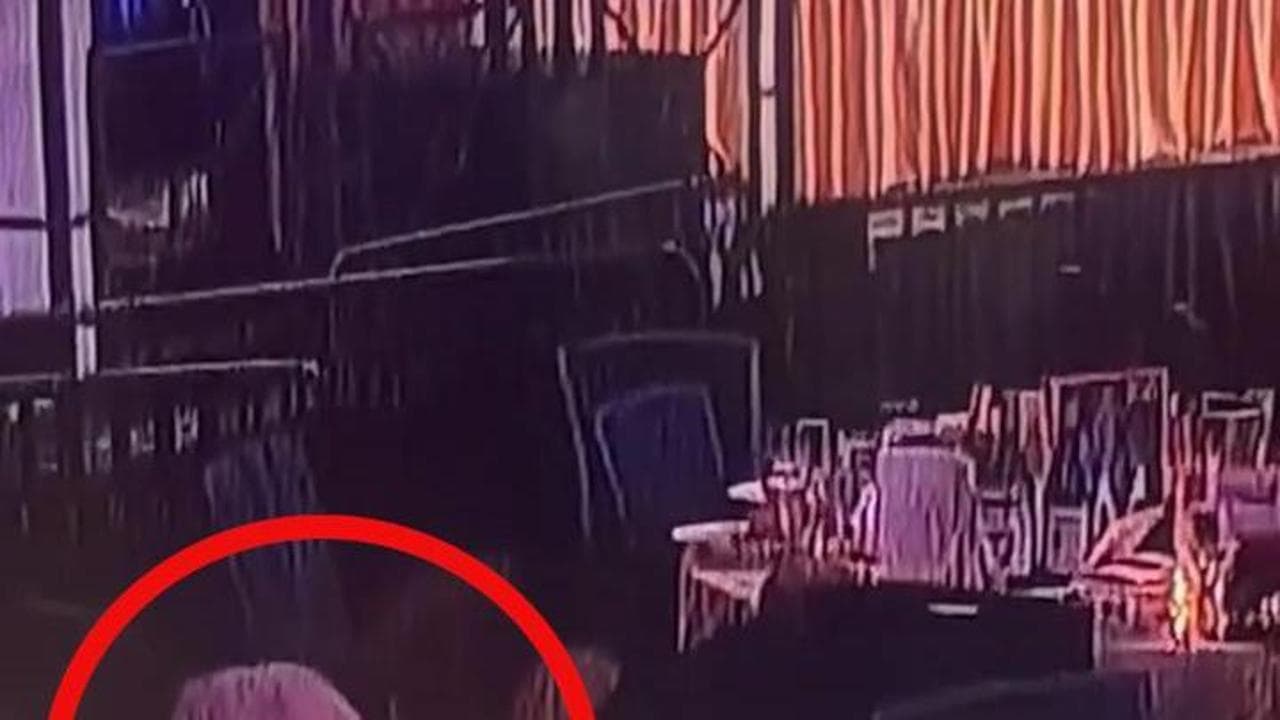 La cena prima di tutto: l'ospite continua a mangiare durante l'attentato fallito a Trump