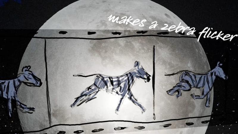 Dall'animazione The Moon and the Zoo © ZSL / Simon Armitage / Greg King