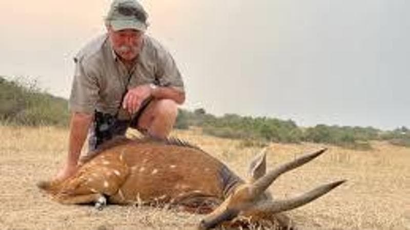 “La caccia è m...”. “Ma io gli animali li mangio”. Lite Tozzi-Burioni dopo la morte di un cacciatore