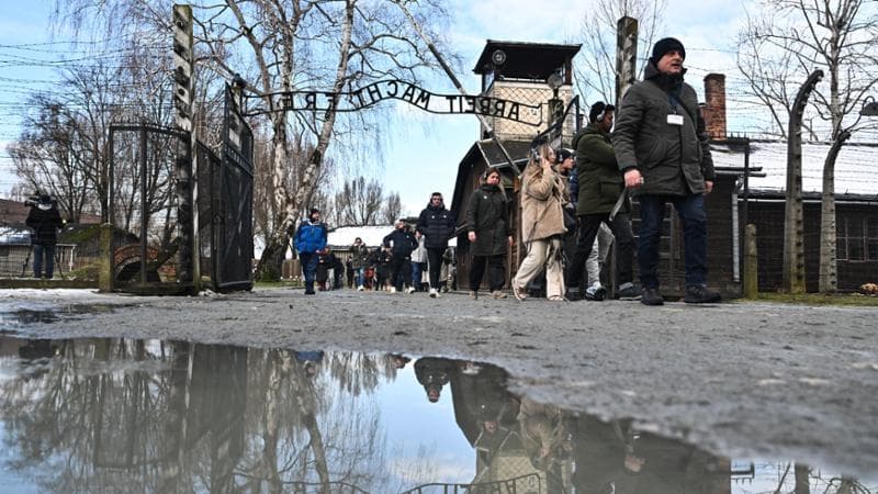 Anteprima: Germania: simpatizza con i neonazisti, poliziotto condannato a visitare Auschwitz
