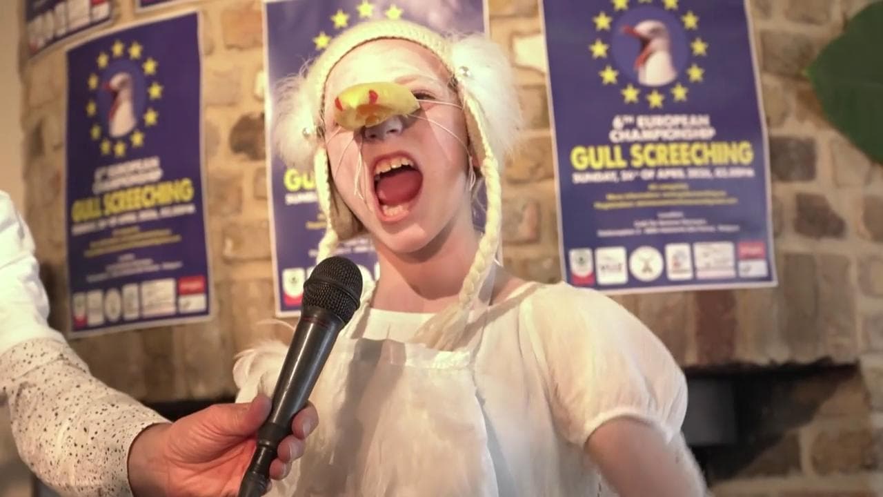 Belgio, sfida tra concorrenti di ogni età: vince chi imita meglio il verso del gabbiano