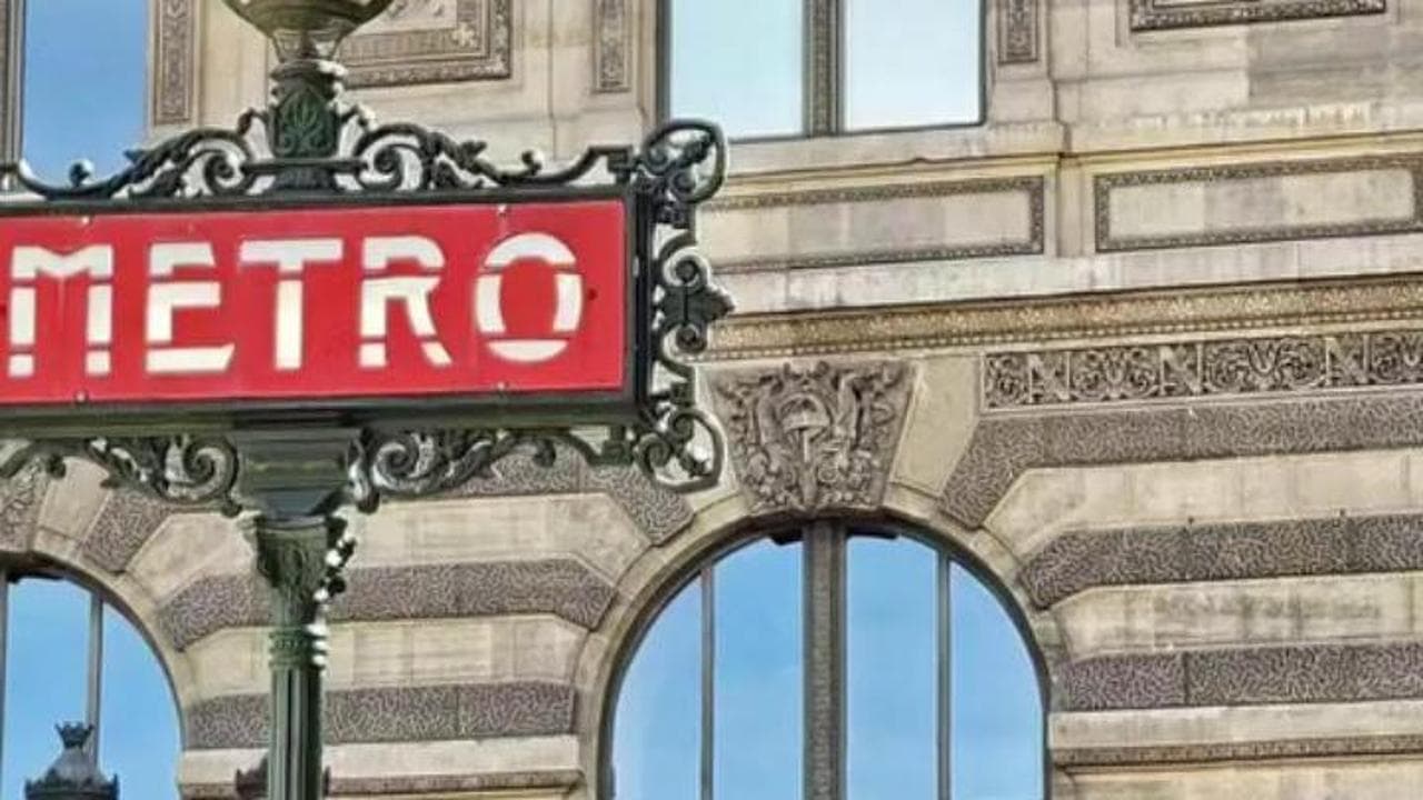 Sciame sotto la sella a Parigi: la bici vicino al Louvre diventa un alveare