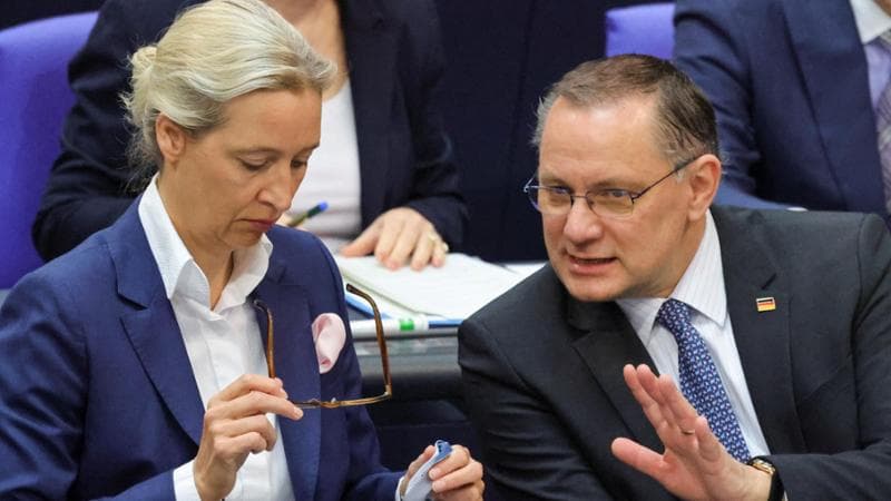 Anteprima: Germania, l'Afd prima nei sondaggi: distacca la Cdu di cinque punti