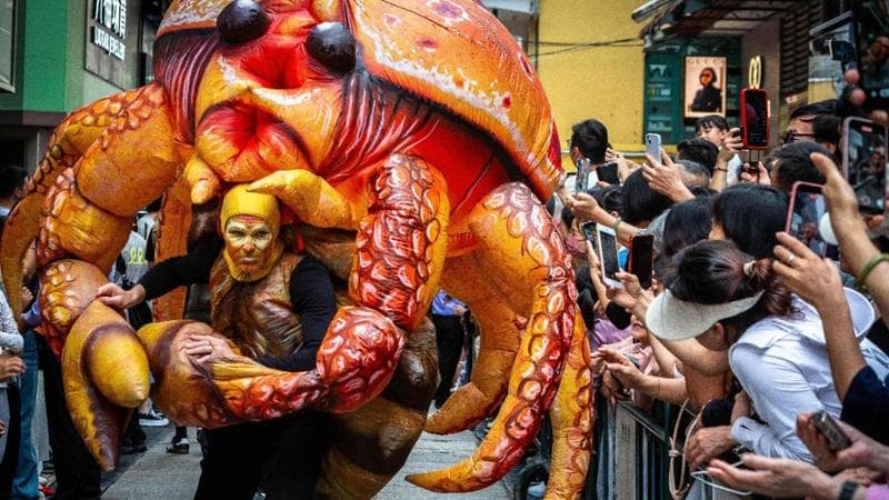 Crostaceo nazionale (Eduardo Leal / AFP)