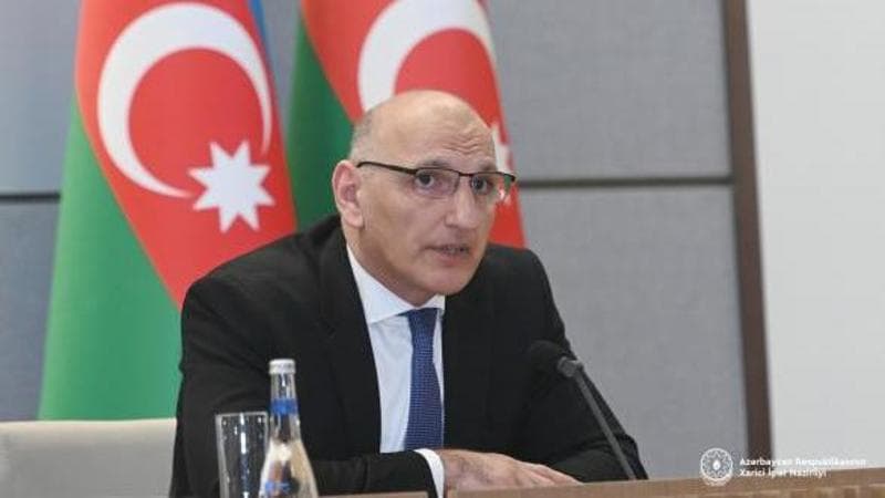 Anteprima: Baku spinge sul gas: “Il Tap è saturo, potenziarlo è nell'interesse di tutta l’Europa”