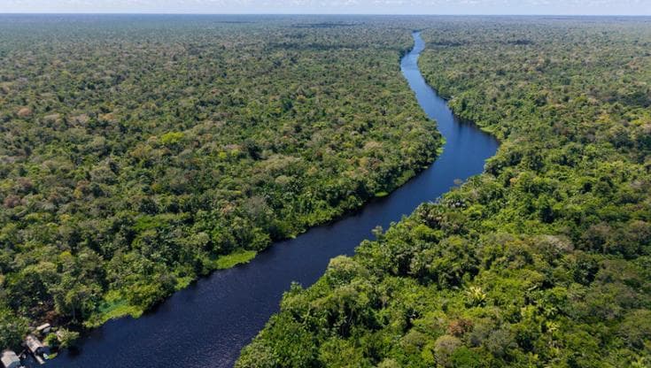 Wri: persi 4,3 milioni di ettari di foreste primarie tropicali nel 2025