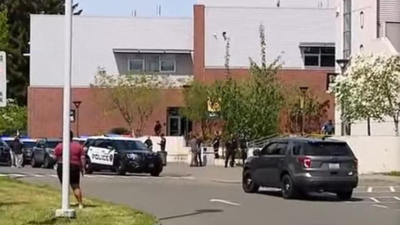 Anteprima: Usa, studente accoltella cinque persone in una scuola: quattro ricoverati in condizioni c…