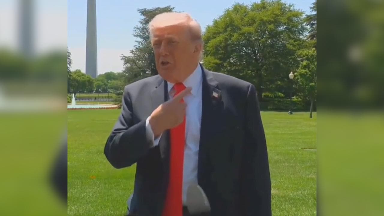 Stati Uniti, Trump infastidito da un'ape durante l'intervista: "Insetto feroce!"