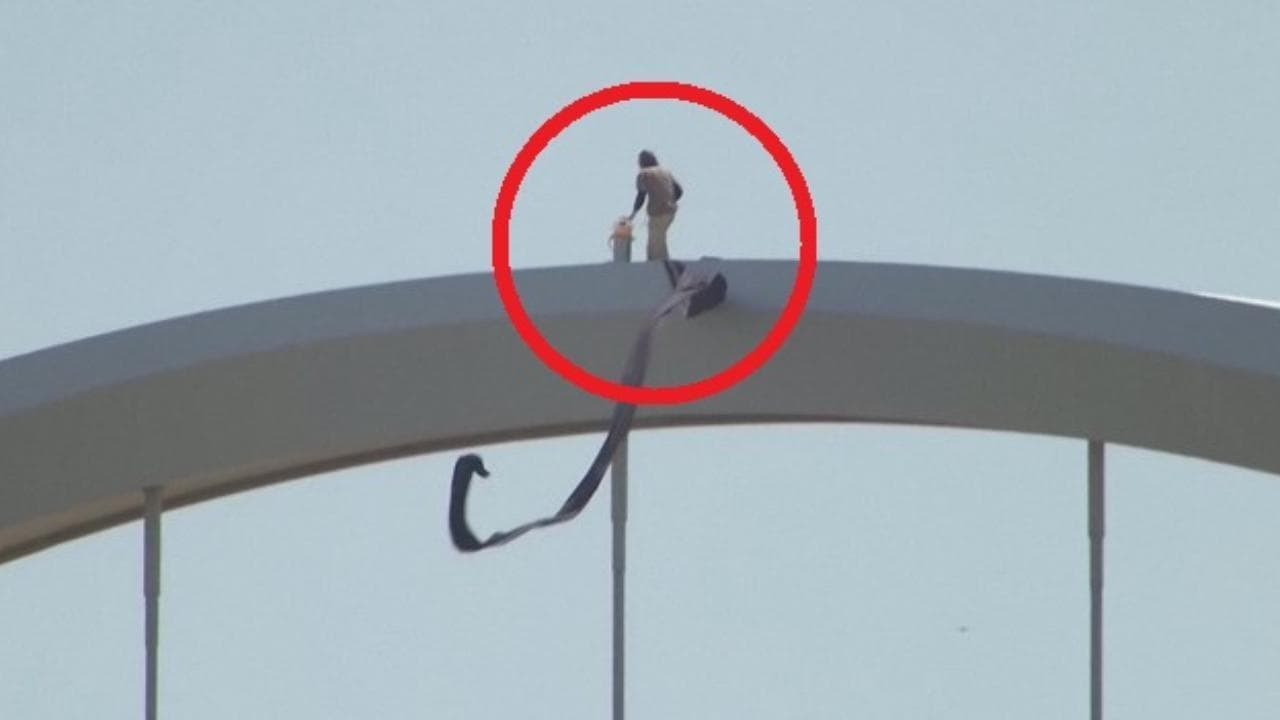 Washington, protesta sul ponte: attivista in cima da quattro giorni contro la guerra in Iran