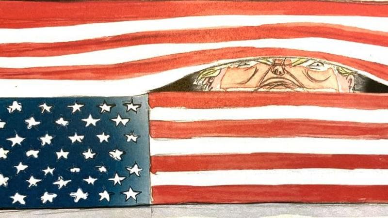 Pulitzer, tre premi alle inchieste su Trump e menzione speciale alla reporter che svelò il caso Epstein