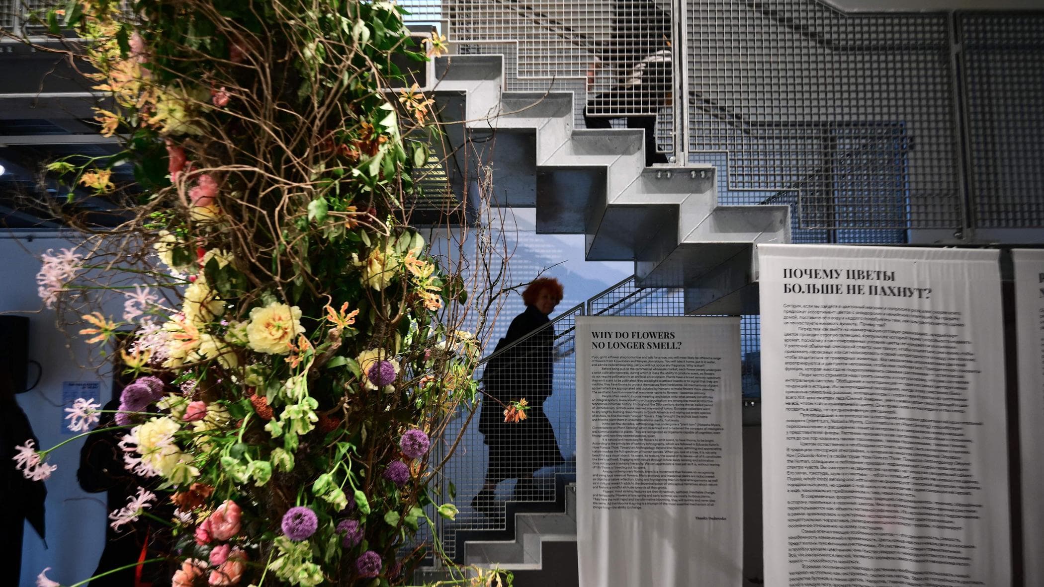 Nuova lettera dell’Ue alla Biennale: “Fornire servizi al governo russo viola le sanzioni”