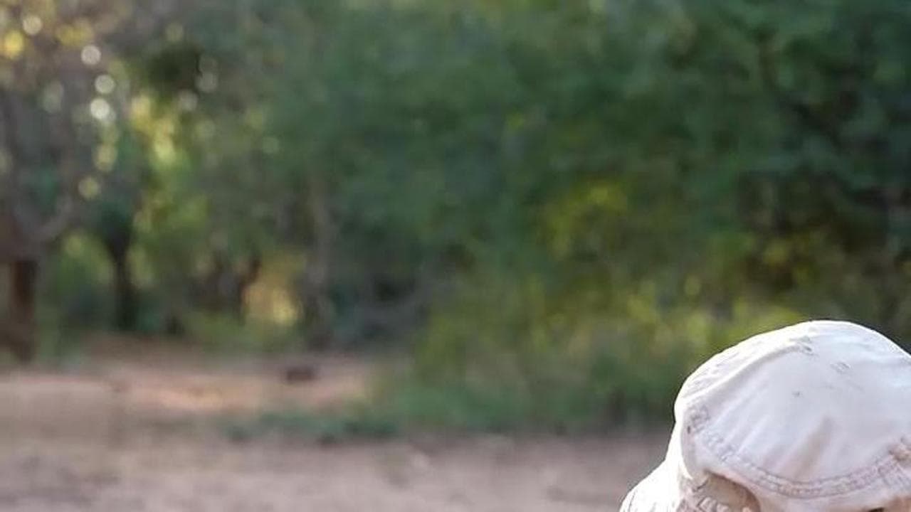 Spingeva disperatamente la madre morta in un lago: Bumpy, il cucciolo di ippopotamo salvato in Kenya