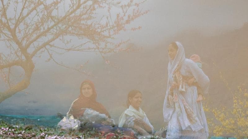 Kashmir’s tulip garden (Sharafat Ali/REUTERS)