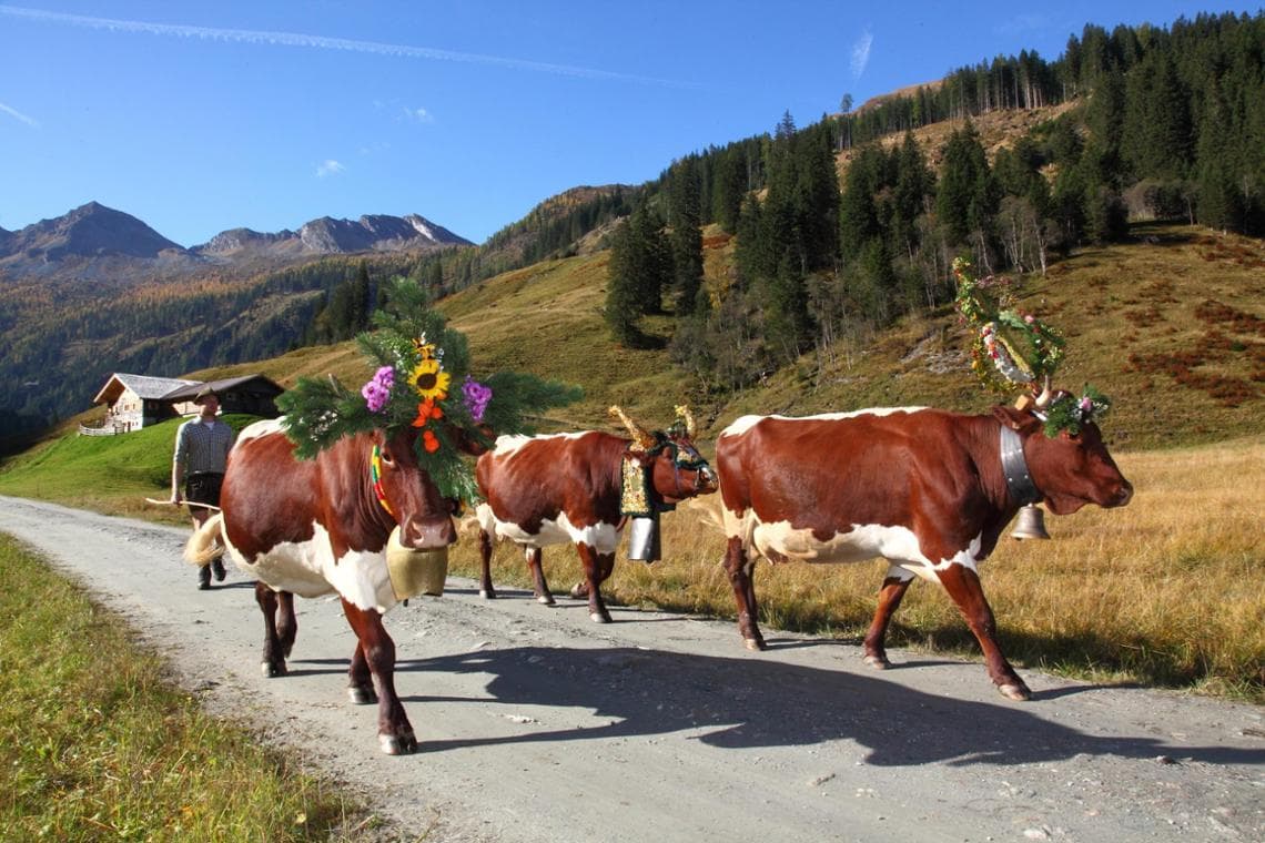Transumanza nel Grossarltal © Tourismusverband Grossarltal - Thomas Wirnsperger