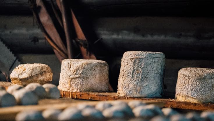 Formaggio di malga © SalzburgerLand Tourismus
