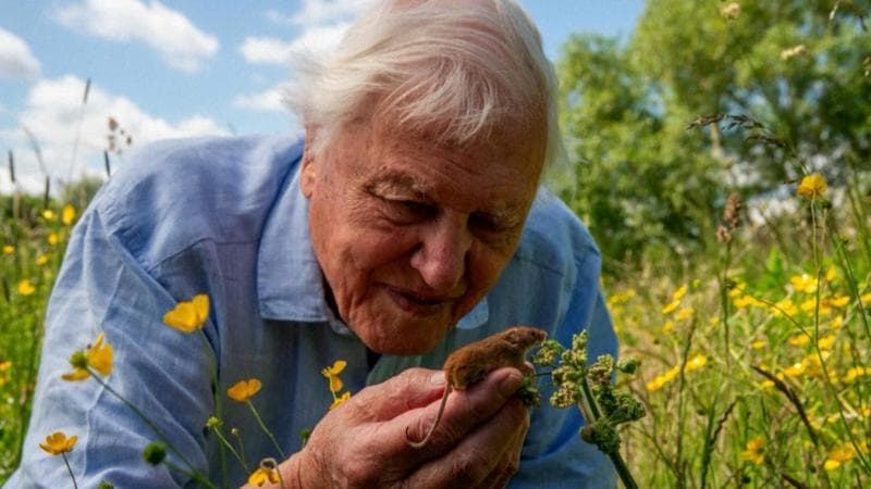 David Attenborough