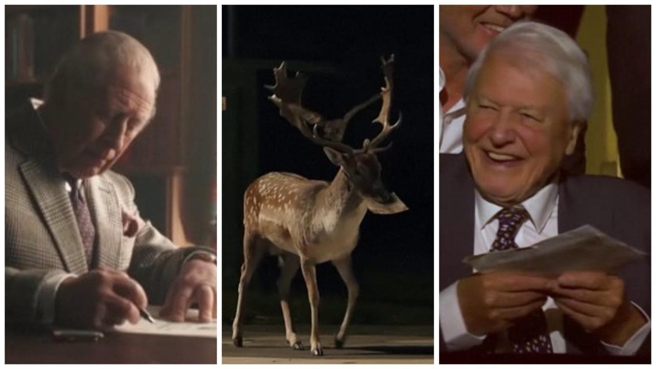 David Attenborough, 100 anni di meraviglia: gli auguri di re Carlo consegnati da una staffetta di animali