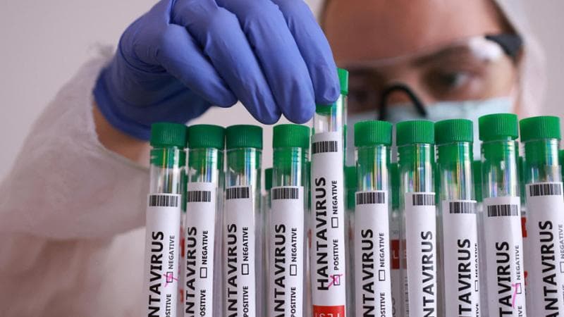 Anteprima: Hantavirus, contagiati, casi sospetti, isolamento, controlli. Ecco la circolare…