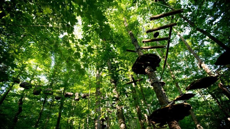La Urban Wilderness di Knoxville
