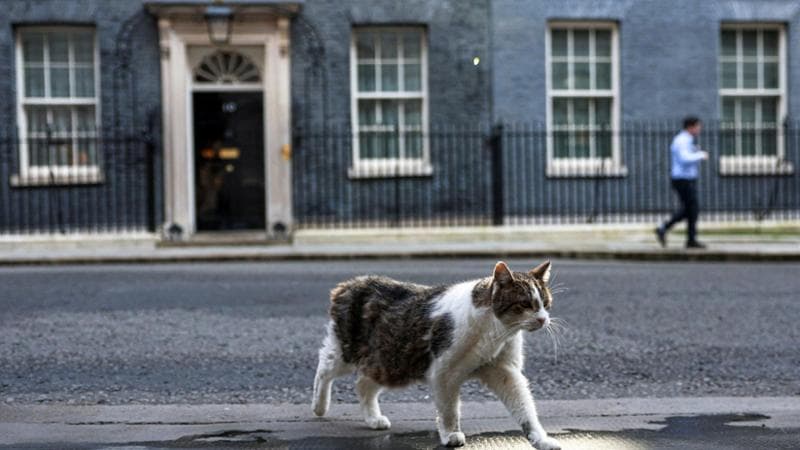 Hannah McKay/REUTERS