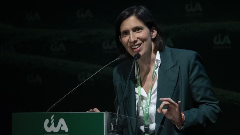 Anteprima: Sondaggi politici: bene il Pd, FdI stabile al primo posto. Cresce il partito di Vannacci