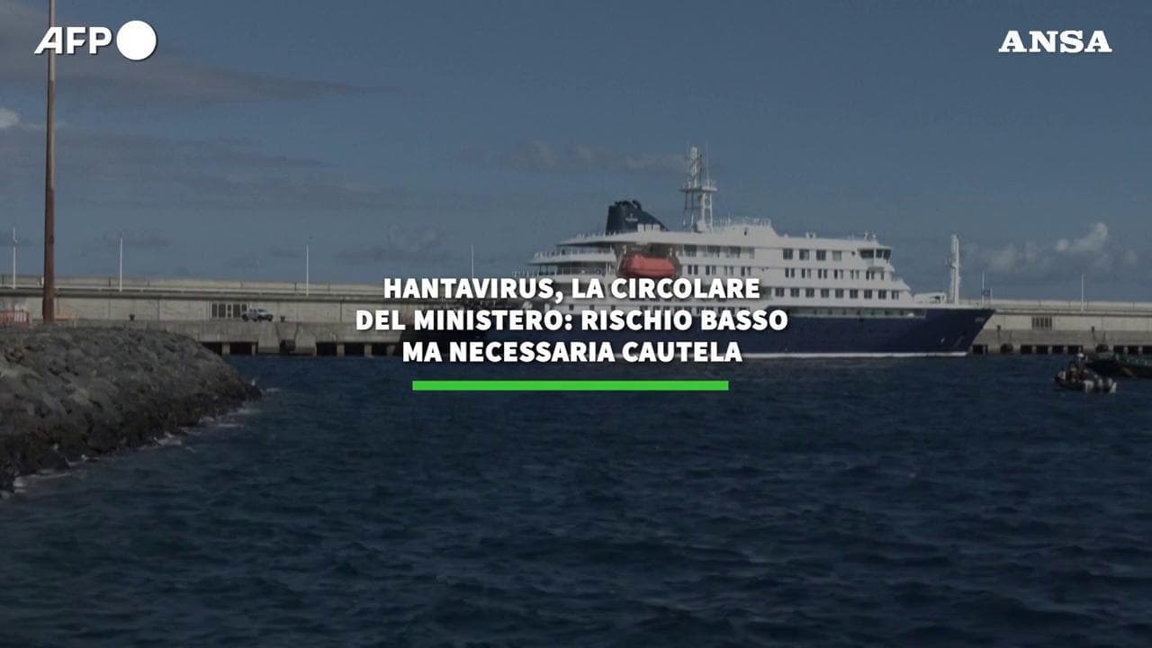 Hantavirus, la circolare del ministero della Salute: "Rischio basso, ma necessaria cautela"